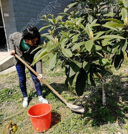 光明村社区：拥抱春天 播种绿色_.jpg