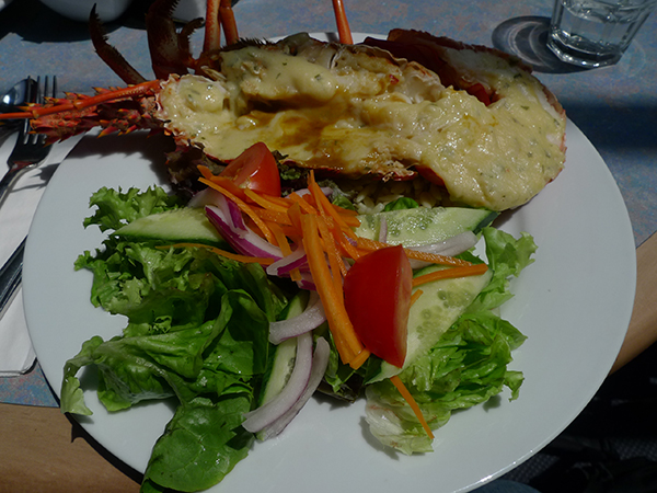 鲸鱼和龙虾，游荡在凯库拉的无尽长夏