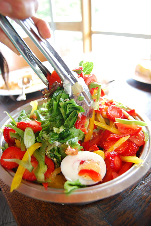 鲸鱼和龙虾，游荡在凯库拉的无尽长夏