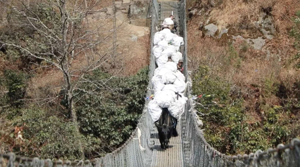 这些年，谁在清理珠峰的垃圾？