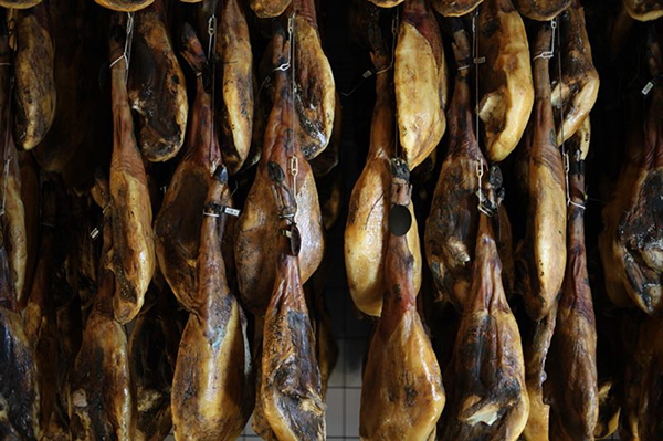 在火腿森林西班牙，寻找一棵行走的橄榄树