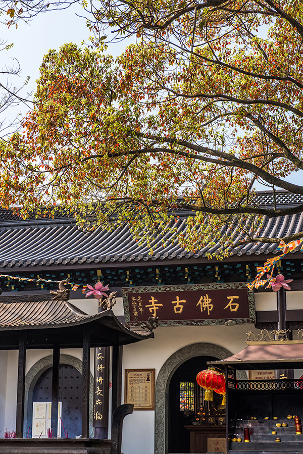 走着瞧 | 春天的北半球，这些新开景点值得一去