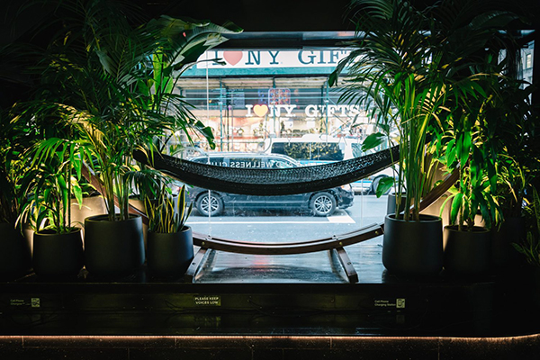 走着瞧 | 春天的北半球，这些新开景点值得一去