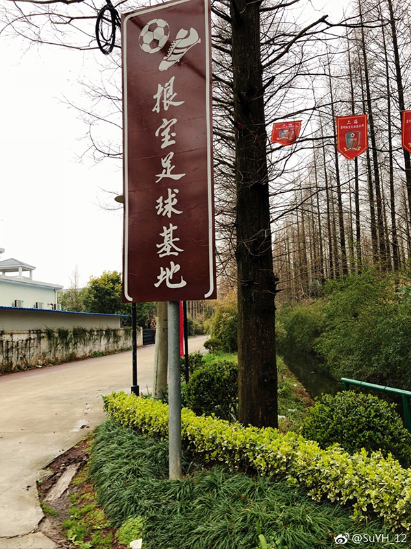 特写｜省下特维斯1.5亿工资，申花从根宝基地买到未来