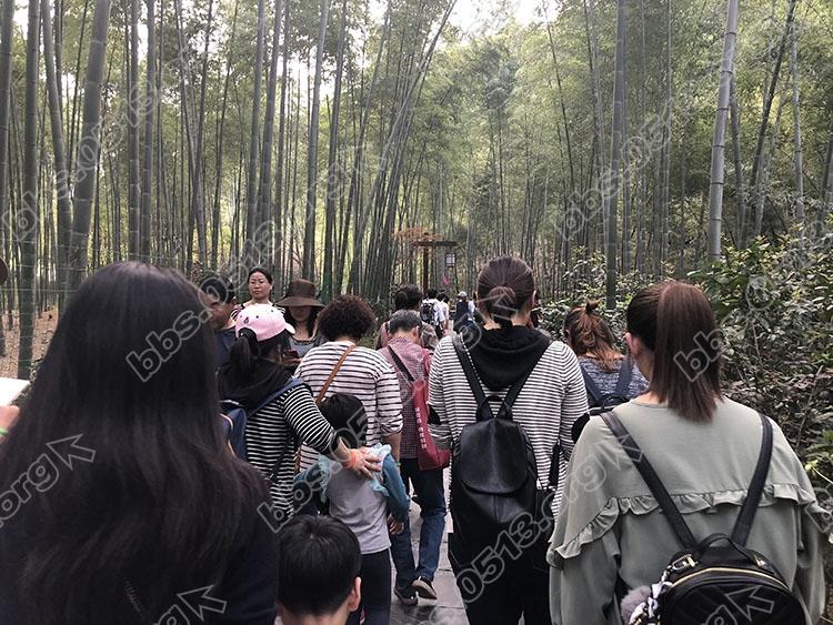 QQ图片20180402100954.jpg