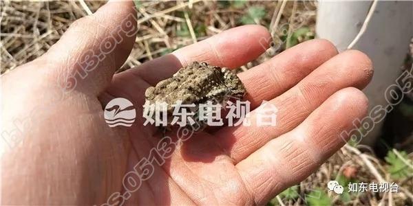 640 (1).webp (1).jpg