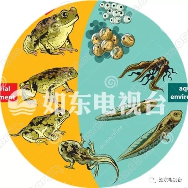 640 (1).webp (2).jpg