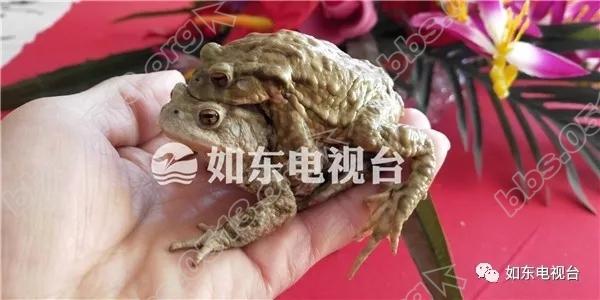 640 (1).webp (3).jpg