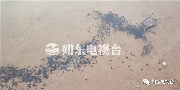 640 (1).webp (4).jpg