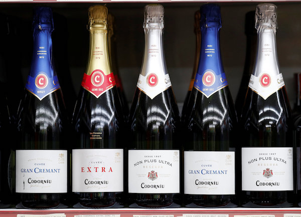 卡瓦卡瓦！明媚春光里的活力气泡