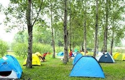 640 (2).webp (1).jpg