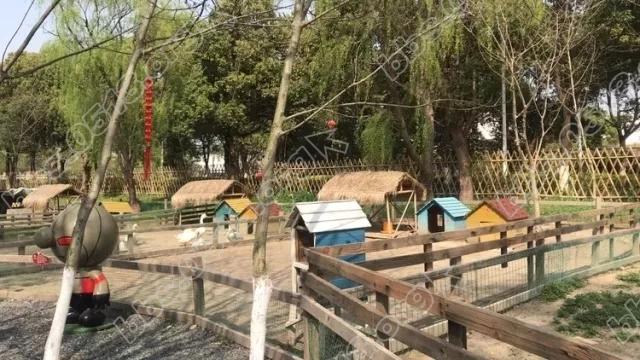 640 (3).webp (6).jpg