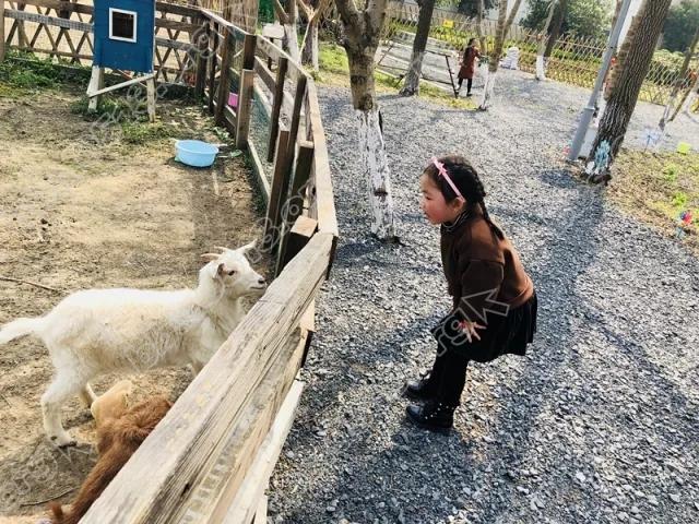 640 (3).webp (7).jpg