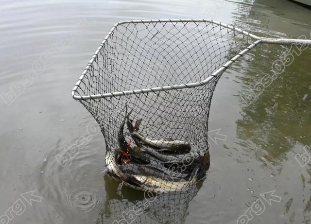 640 (3).webp (9).jpg