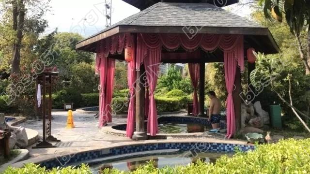 640 (7).webp (1).jpg