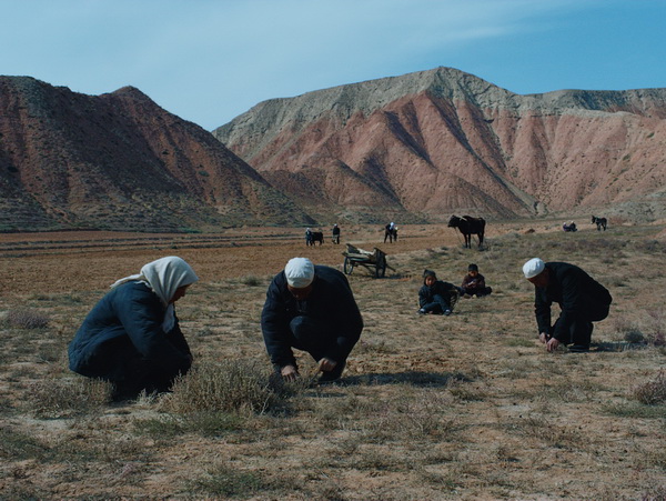 《清水里的刀子》：展现人性与生命中的共同境遇