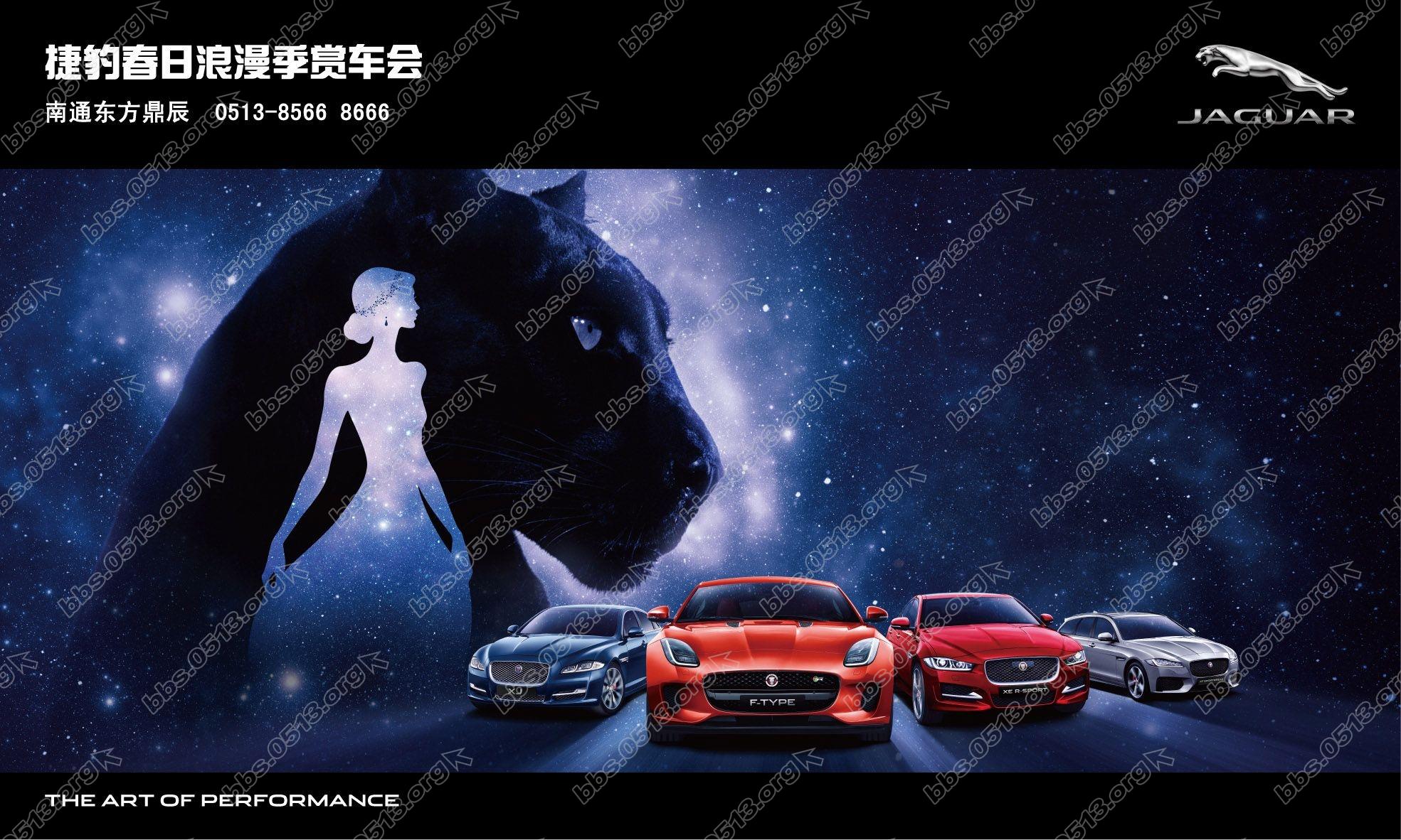 w500xh300cm 背景板-01_1.jpg