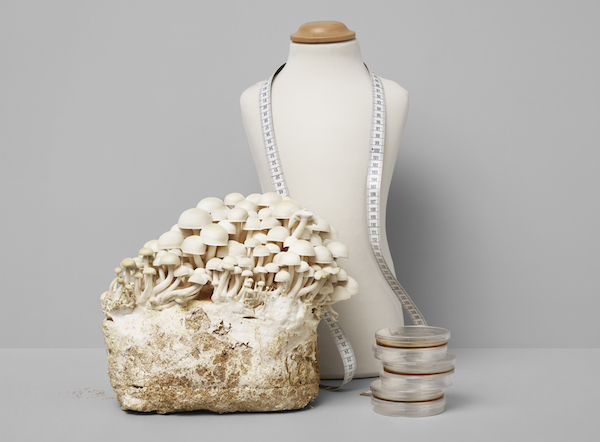 林志玲穿柑橘纤维礼服颁奖，我们知道可持续时尚已经近在眼前