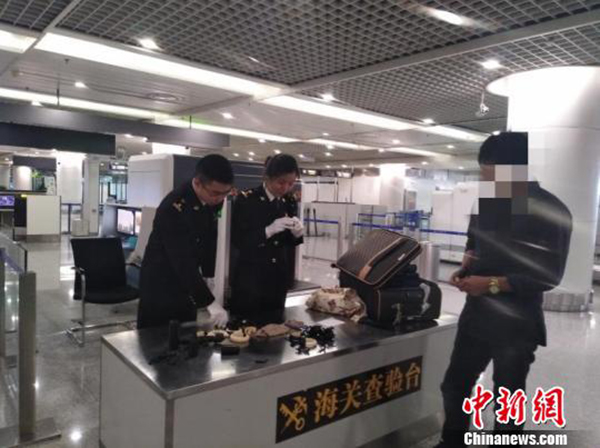 成都海关查获今年以来最大走私象牙案件：18件重1.7千克