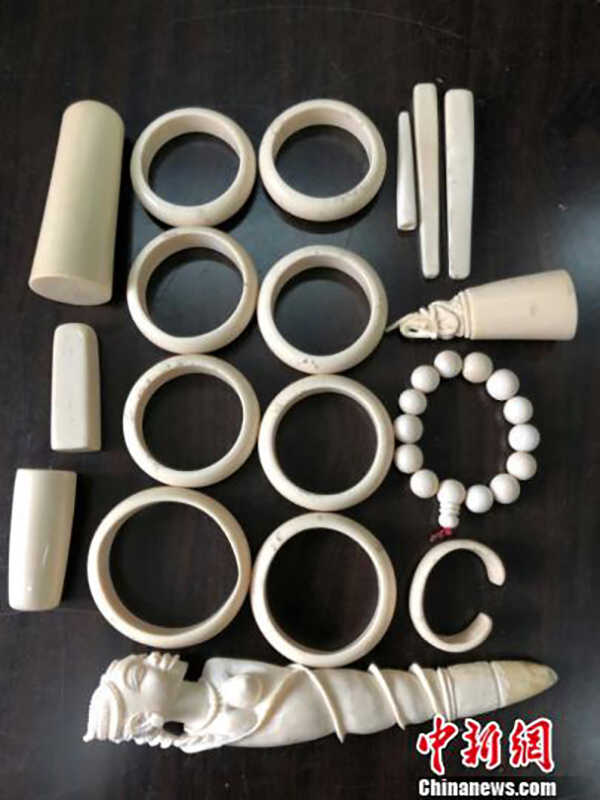 成都海关查获今年以来最大走私象牙案件：18件重1.7千克