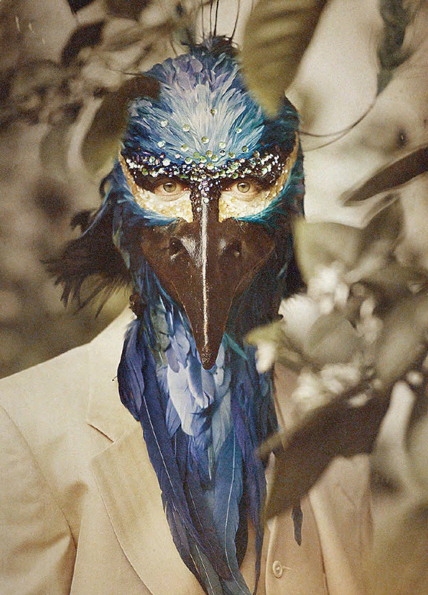 睡不着｜鸟人飞向自由