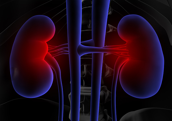 问答｜谁有患上肾脏病的风险？