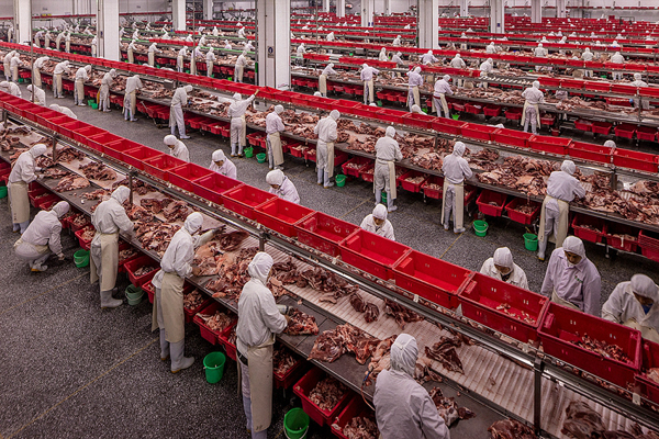 荷赛｜委内瑞拉危机夺年度图片，“吃在中国”获当代热点奖