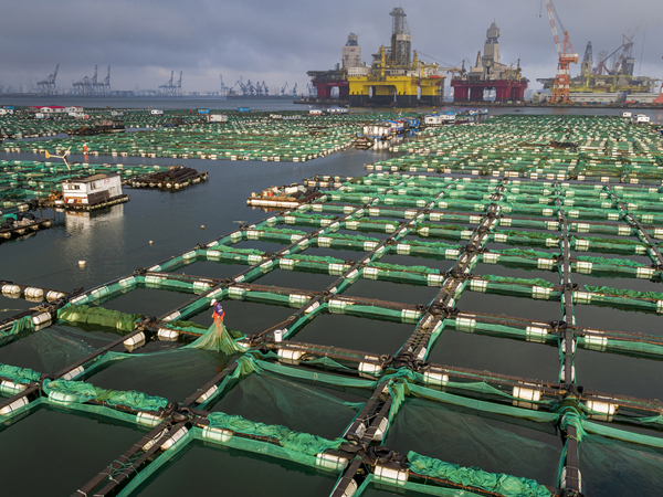 荷赛｜委内瑞拉危机夺年度图片，“吃在中国”获当代热点奖