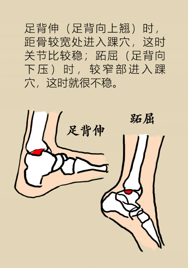漫画｜孩子崴脚比大人更危险，快提醒粗心的父母们注意！