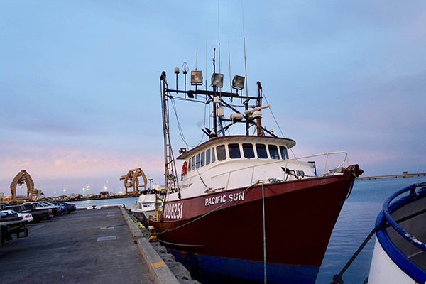 我见过凌晨四点的夏威夷，和海里捕来的大鱼