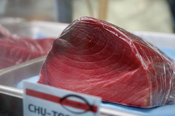 我见过凌晨四点的夏威夷，和海里捕来的大鱼