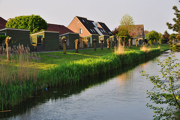 鲜花与拼布，客居荷兰小镇