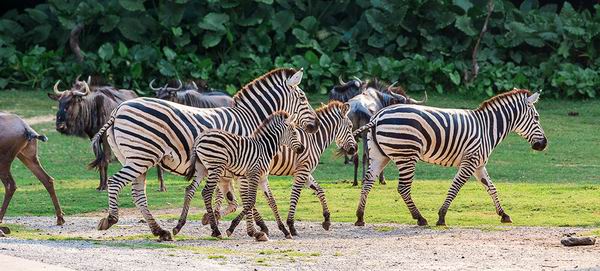 来场“无脑”亲子游，带着低幼宝宝可以去哪儿玩