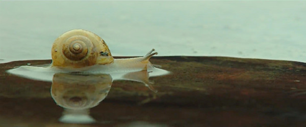 睡不着｜清新与烟火气，如何抉择