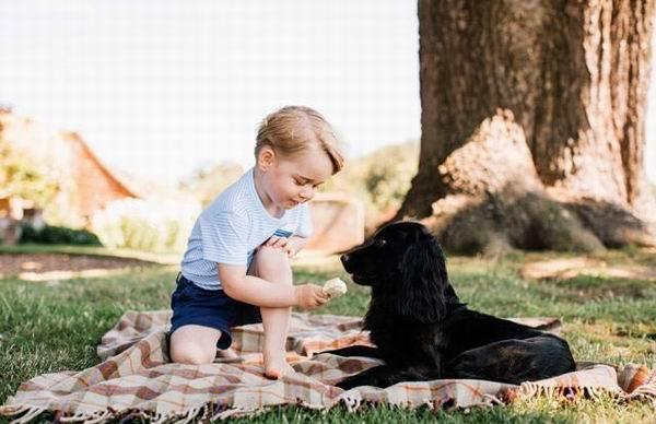 图说|来看看英国小公主小王子的成长史