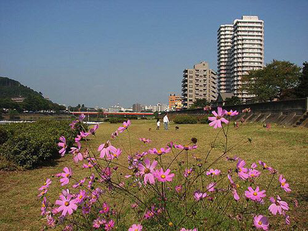 在鲁迅写过的仙台，邂逅一曲“金色梦乡”