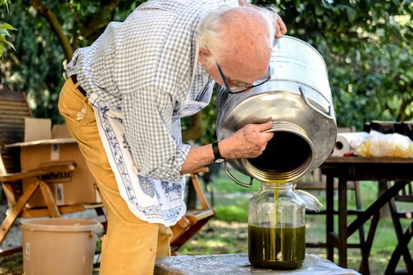 在西西里的橄榄庄园当一周农夫是怎样的体验？