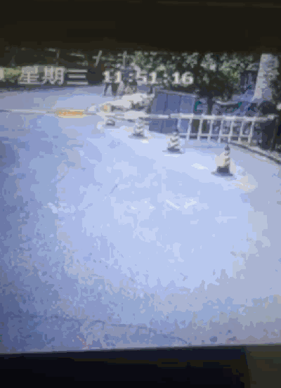 上海浦东数人被流浪犬咬伤，专家：气温上升犬伤就诊人数增加