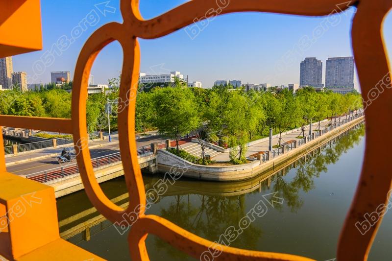 海港引河钟秀段  秀美风光醉人家  (9).jpg