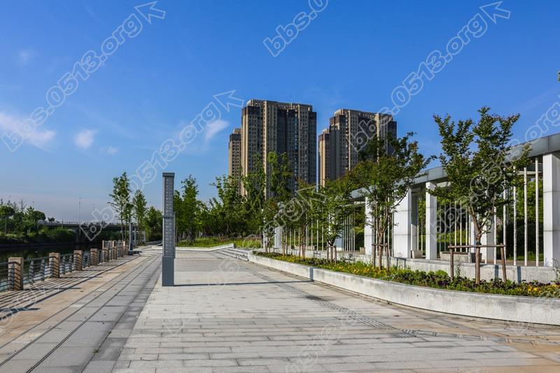 海港引河钟秀段  秀美风光醉人家  (8).jpg