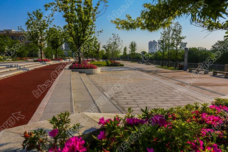 海港引河钟秀段  秀美风光醉人家  (10).jpg