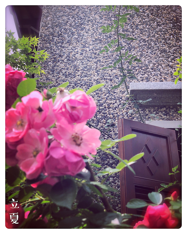 视频｜立夏：草莓樱桃酱，南风草木香