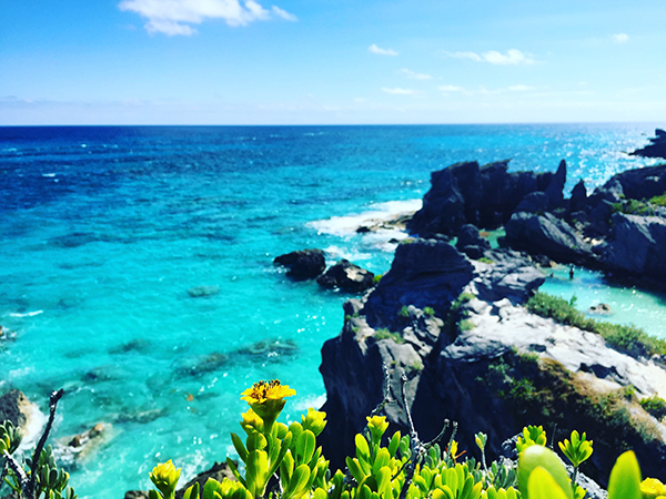 我去了一趟传说中的“魔鬼岛”百慕大