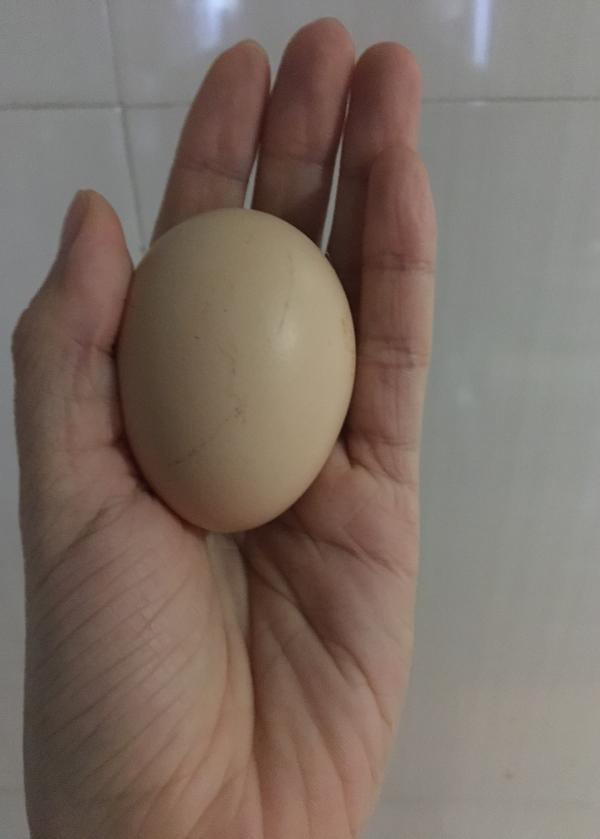 睡不着｜美食让她们成为更好的自己