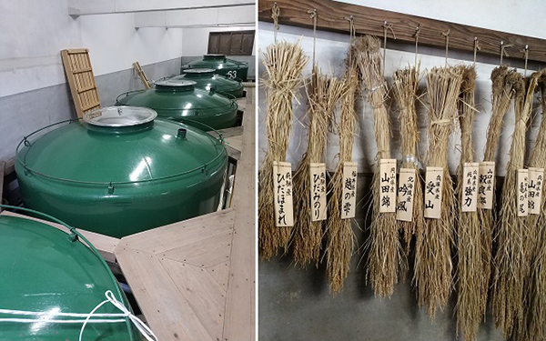 放浪在清酒之乡的美国人