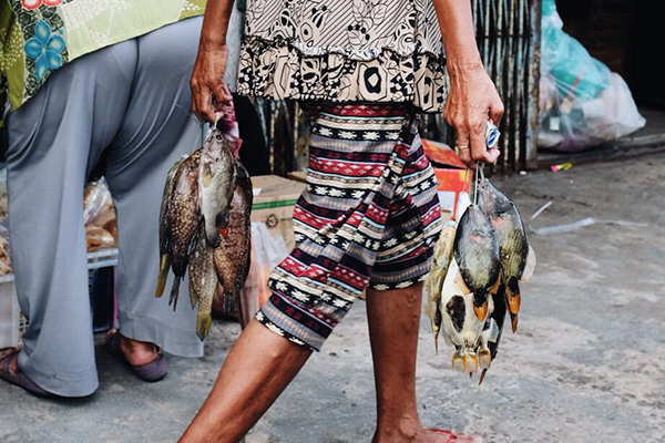 与海龟同游，在海底喝可乐：在仙本那潜水的正确姿势