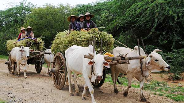 博学又猎奇，不经意直击痛点，一本游记的自我修养