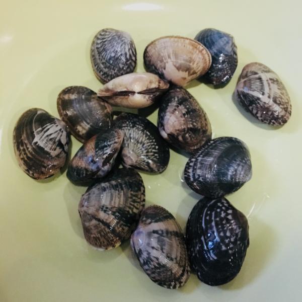 睡不着｜在旅行和美食中寻找自我