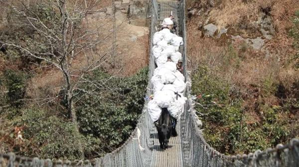 拯救“世界垃圾场”珠穆朗玛峰：它成了最高的粪坑