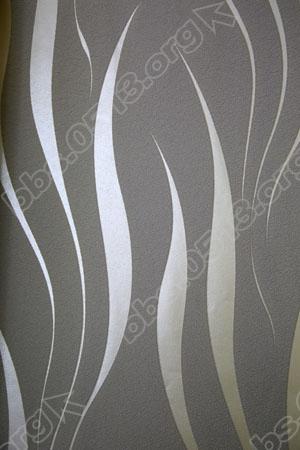 DPP_0161 - 副本.JPG